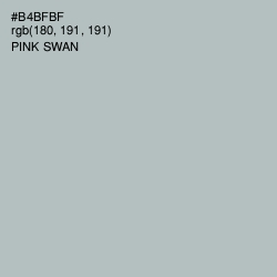 #B4BFBF - Pink Swan Color Image